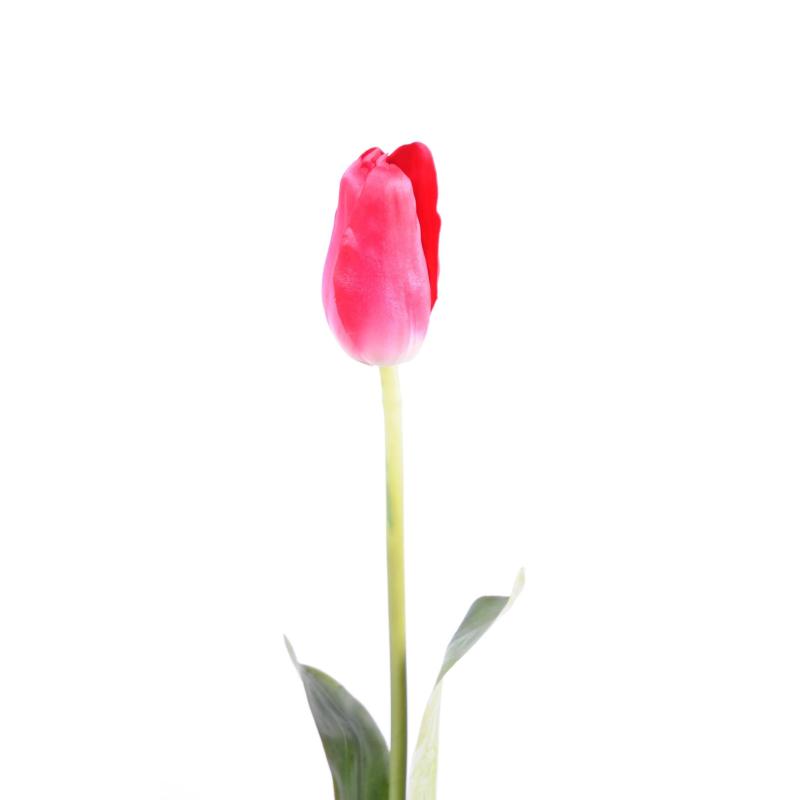 Tulipe Artificielle
