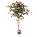 Bougainvillée Artificiel Root