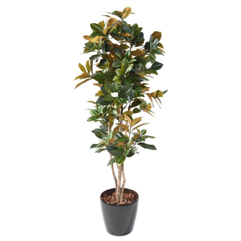 Magnolia Artificiel