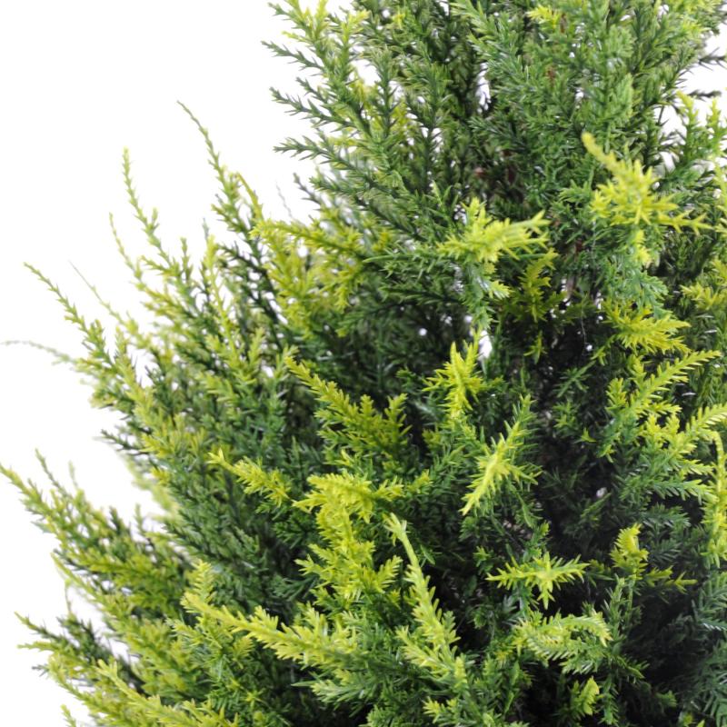 Cyprès Artificiel Junipérus