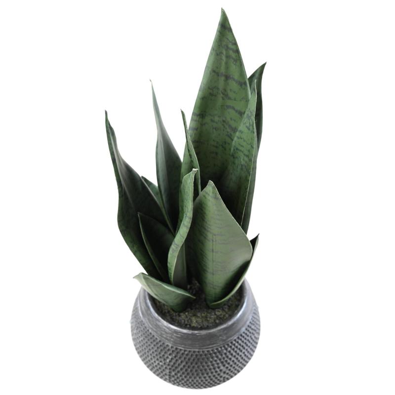 Sansevieria Artificiel 49