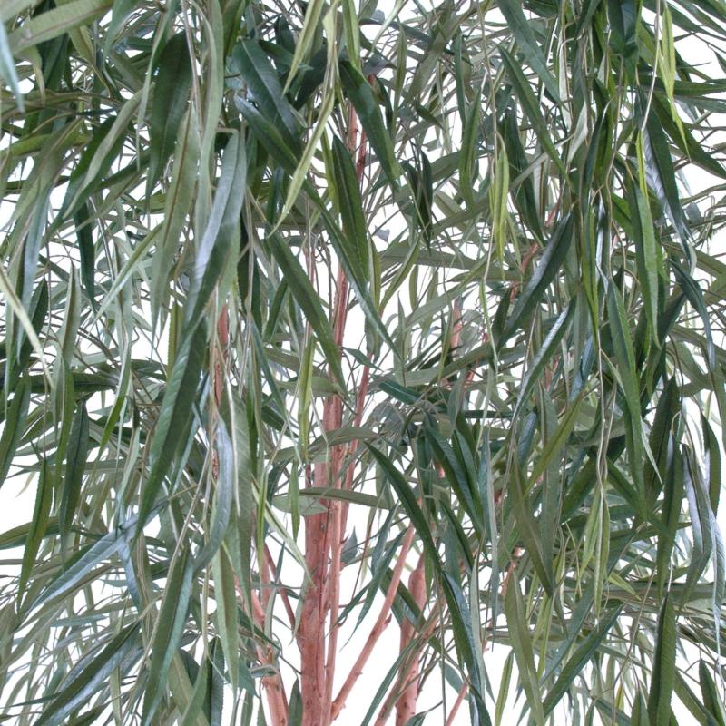 Saule Artificiel