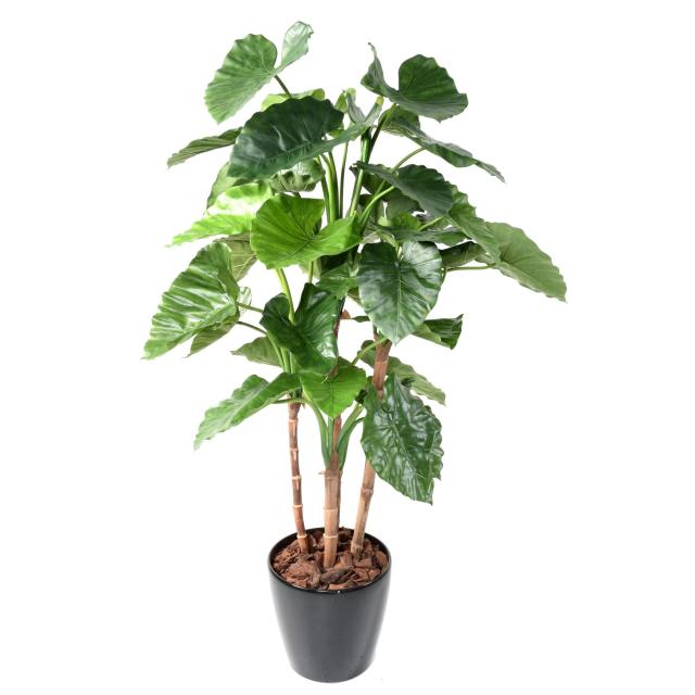 Alocasia Artificiel Calidora 2T