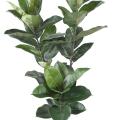 Rubber Plant Artificiel 170 cm