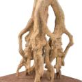 Olivier Artificiel NEW Root