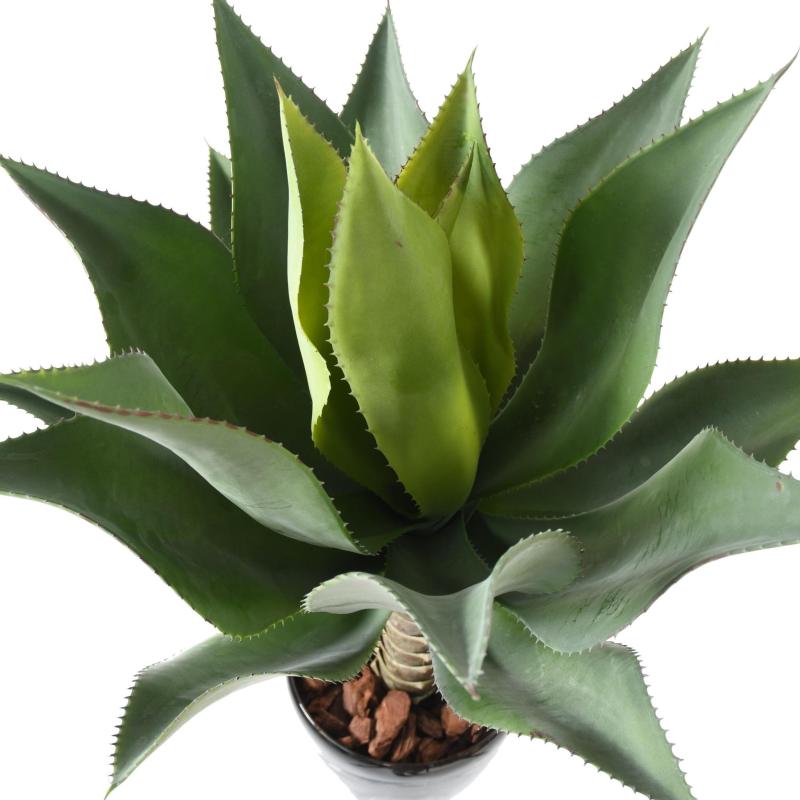 Agave Artificielle L