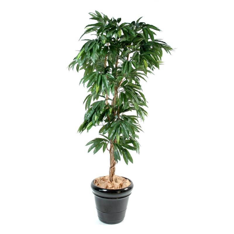 Manguier Artificiel