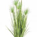 Chrysopogon Artificiel Grass