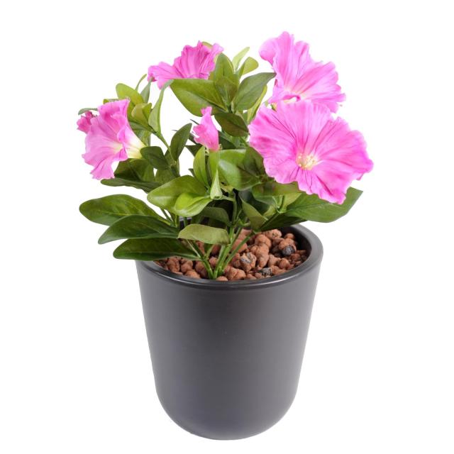 Petunia Artificiel *7