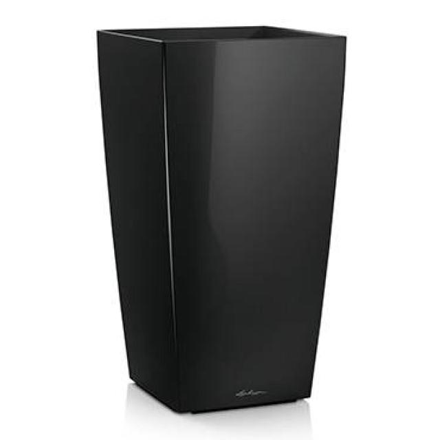 Cubico Premium