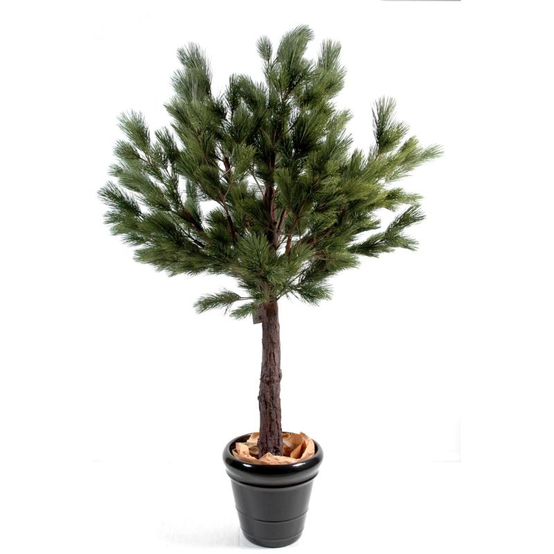 Pin Artificiel Autriche Tête