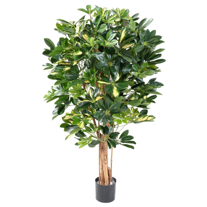 Schefflera Artificiel