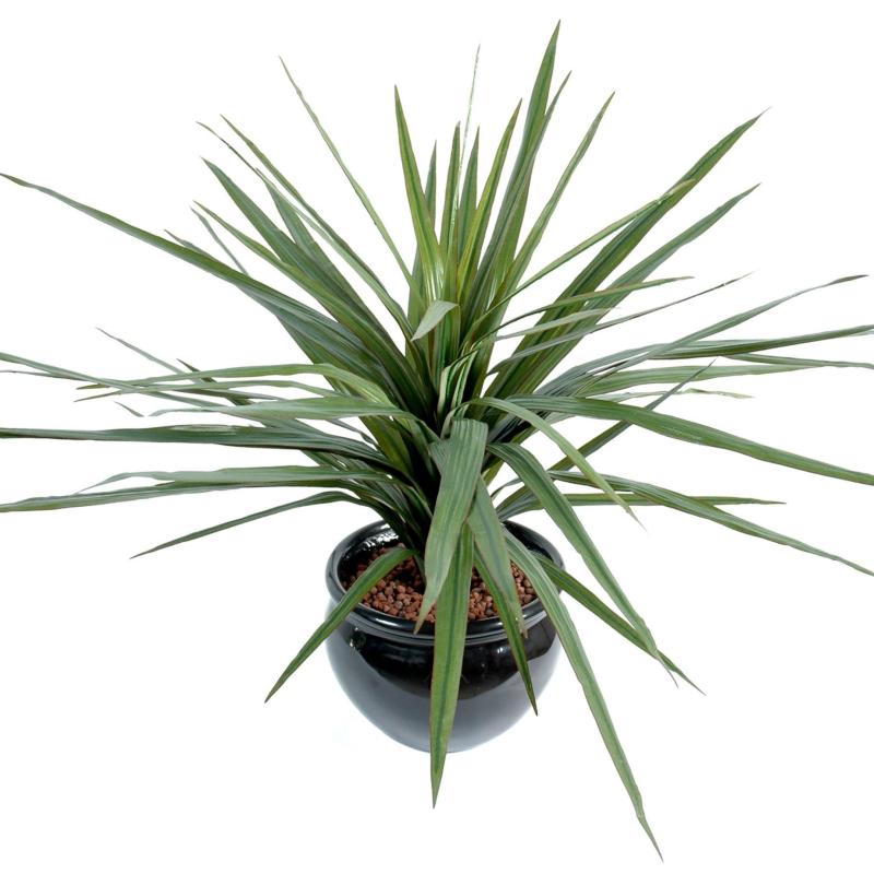Dracaena Artificiel Marginata 58f