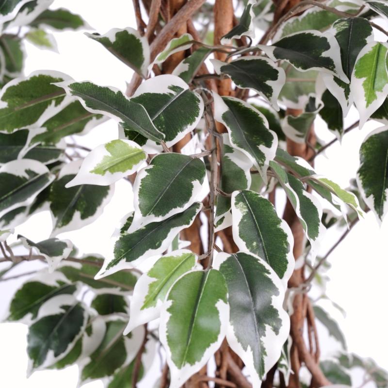 Ficus Artificiel Lianes Grandes Feuilles