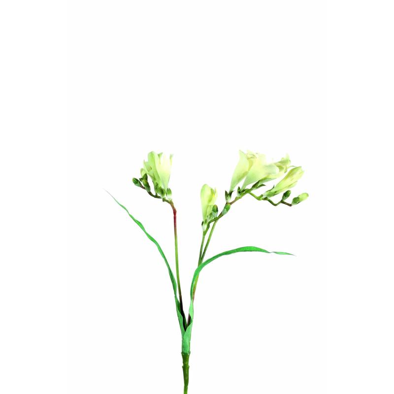 Freesia Artificielle