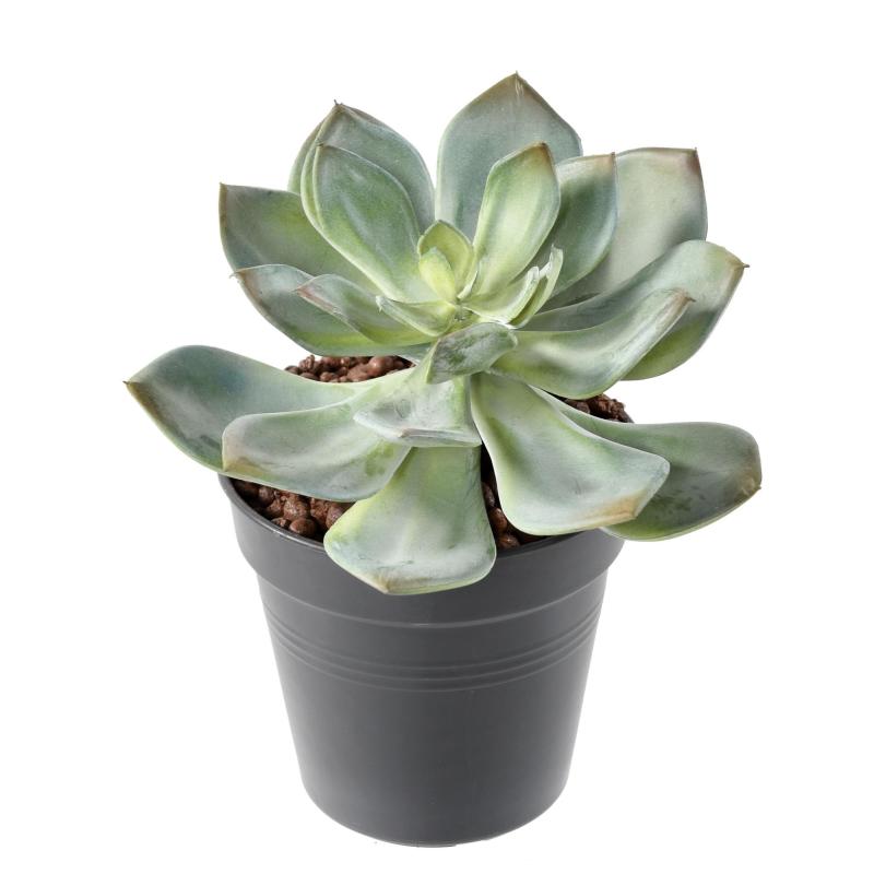 Succulente Artificielle *25