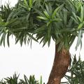 Podocarpus Artificiel Nuage UV