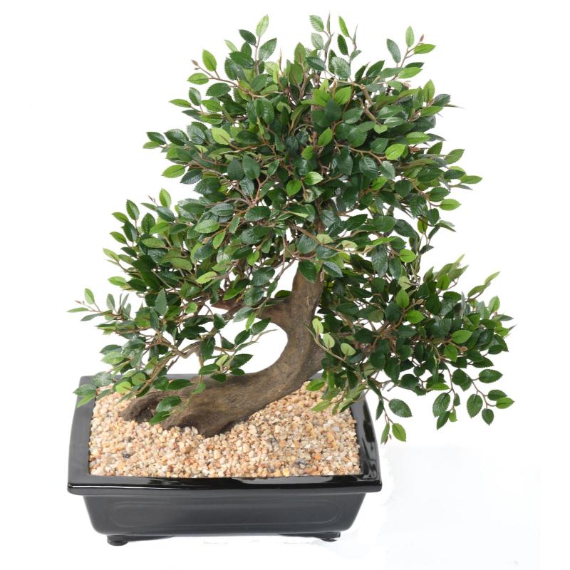 Bonsai Orme Artificiel en Coupe Gravier
