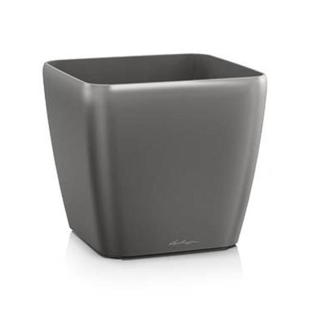 Lechuza Quadro Premium