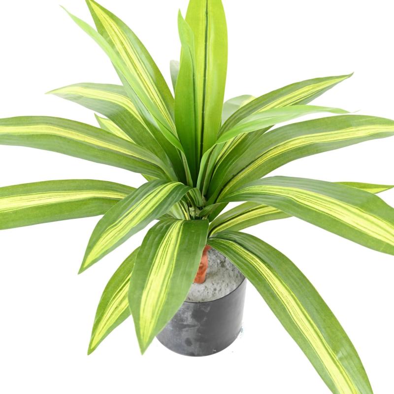 DRACAENA Artificiel LARGE