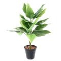 Hosta Artificiel*18