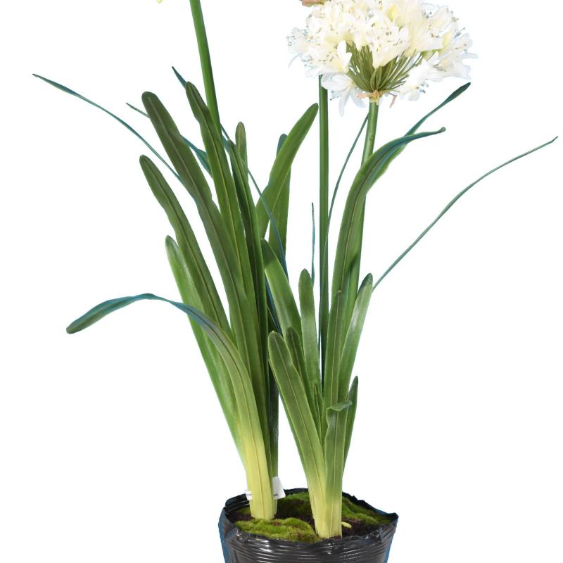 Agapanthe Artificielle en Motte