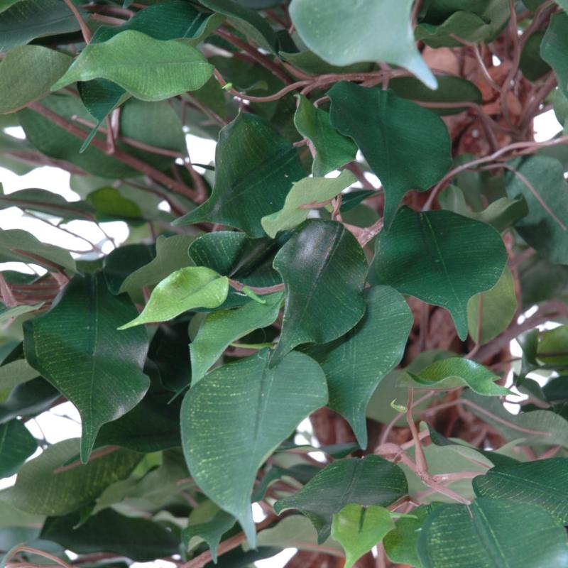 Ficus Artificiel Cage