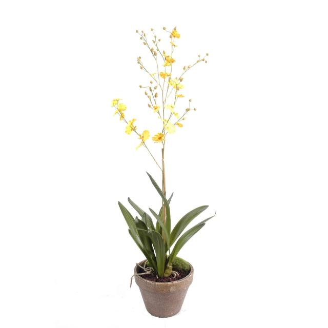 Orchidée Artificielle Dancing Lady Pot en Terre