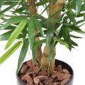 Bambou Artificiel Buddha TREE