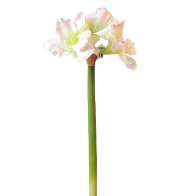 Amaryllis Artificielle Tige 3F