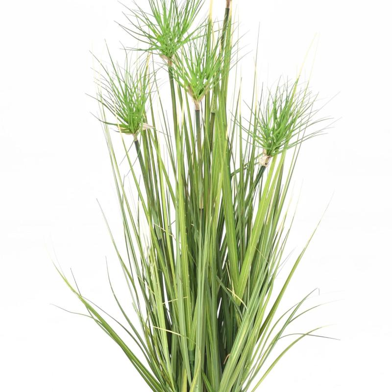Chrysopogon Artificiel Grass