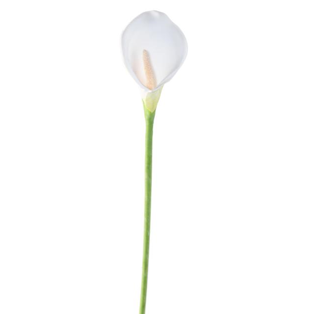 Arome Artificiel L