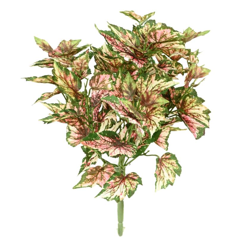 Begonia Artificiel Rex