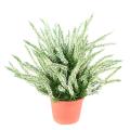 Bruyère Artificielle Large en Pot