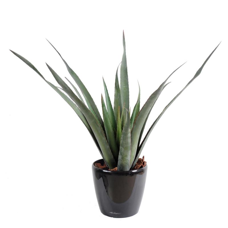 Aloe Artificielle Ferox PLAST