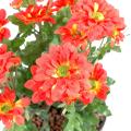 Chrysantheme Artificiel Mini