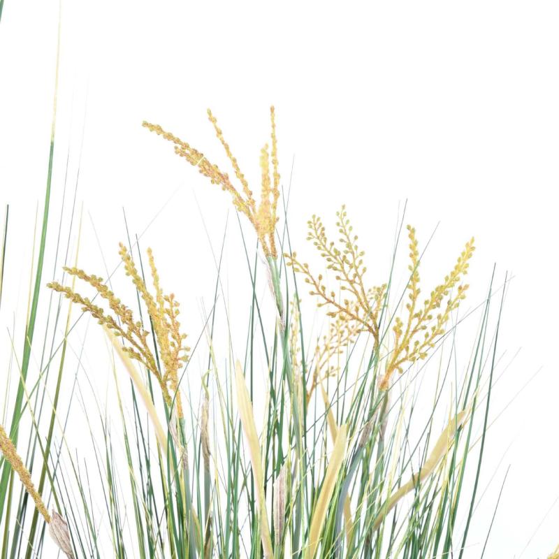 Papyrus Artificiel Scirpus Validus