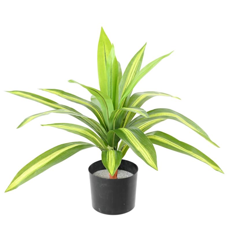 DRACAENA Artificiel LARGE