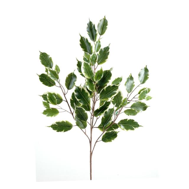 Ficus Artificiel Exotica SPRAY *55