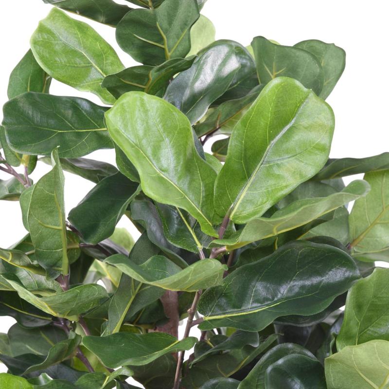 Lyrata Artificiel Royal
