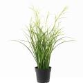 Acorus Artificiel Fleuri Pot