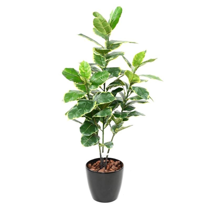 Rubber TREE Artificiel