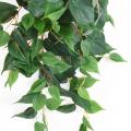 Pothos Artificiel