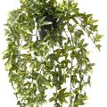 Lierre Artificiel 70 Pot