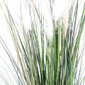 Carex Artificiel GF