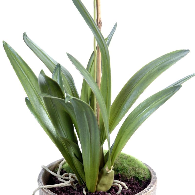 Orchidée Artificielle Dancing Lady Pot en Terre