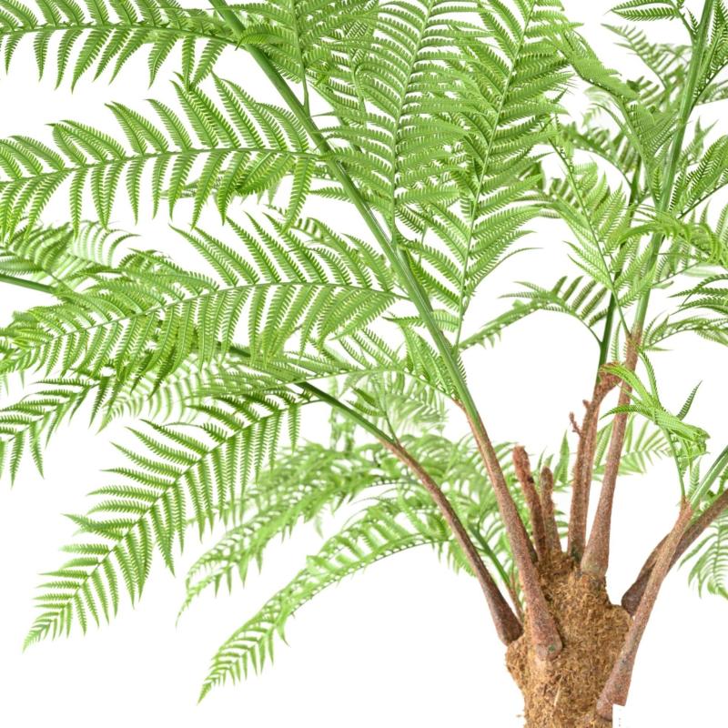 Dicksonia Artificielle (fougere)