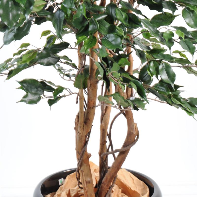 Ficus Artificiel Exotica