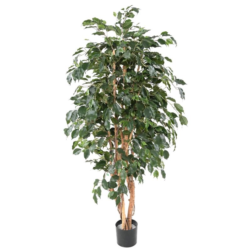 Ficus Artificiel Exotica