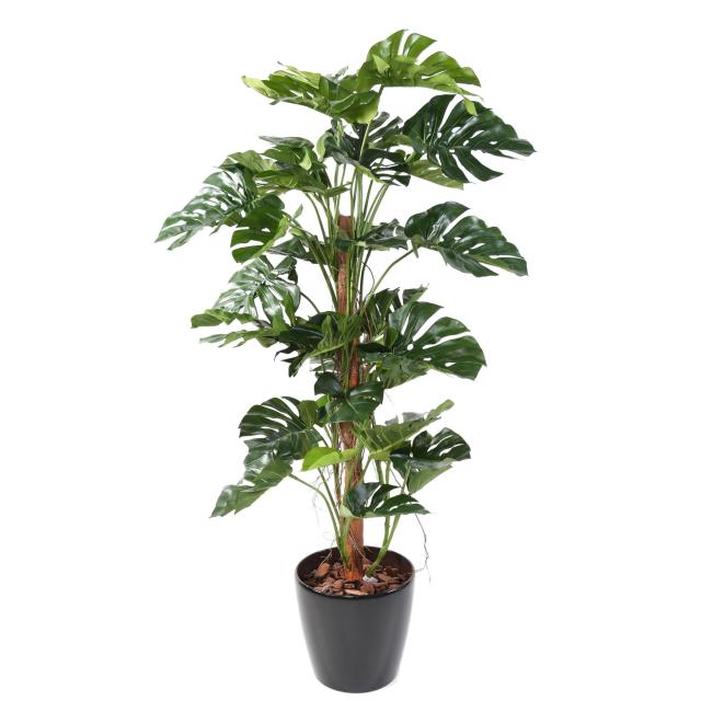 Philodendron Artificiel Tuteur Coco NEW